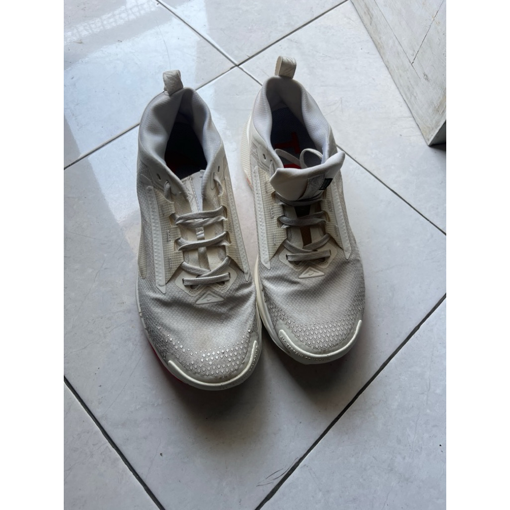 NIKE PEGASUS TRAIL 5 GTX