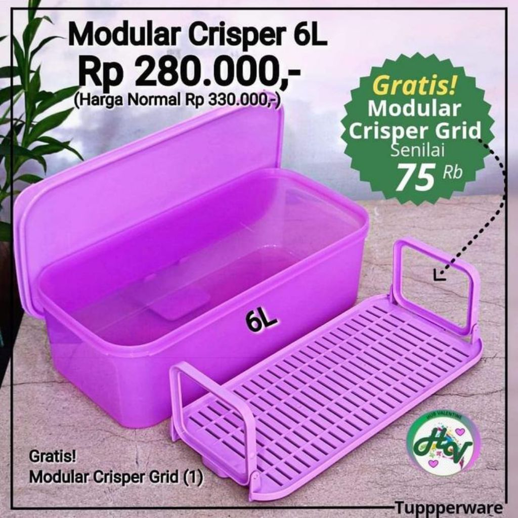 Modular Crisper Tupperware Ori Murah