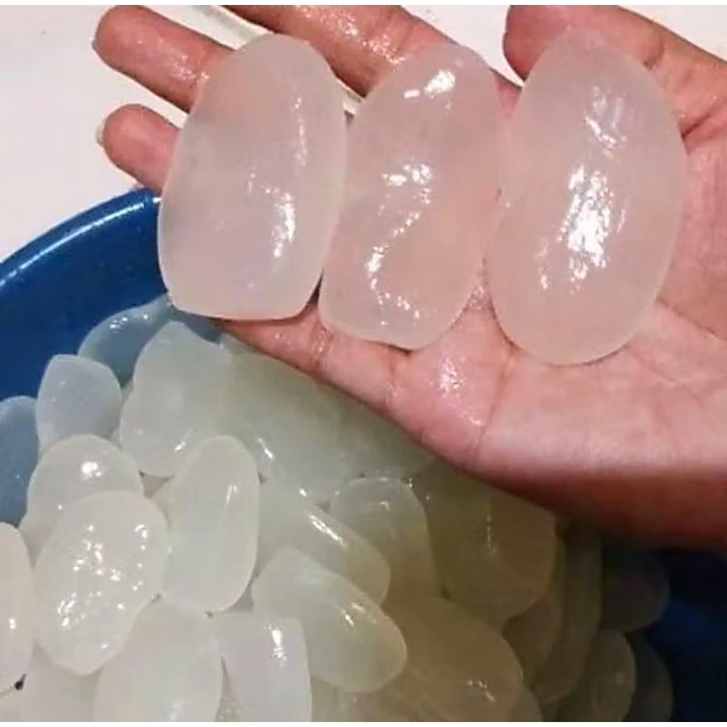 

KOLANG KALING SUPER BESAR DAN KENYAL / COCOK UNTUK MANISAN DLL