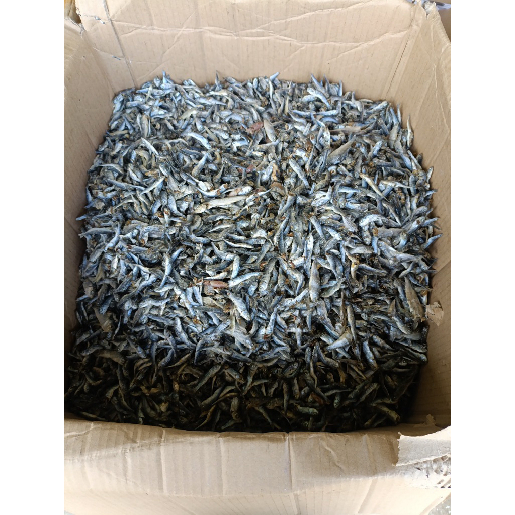 

Ikan Gembung Rebus Asli 100% Dari Medan 1Kg