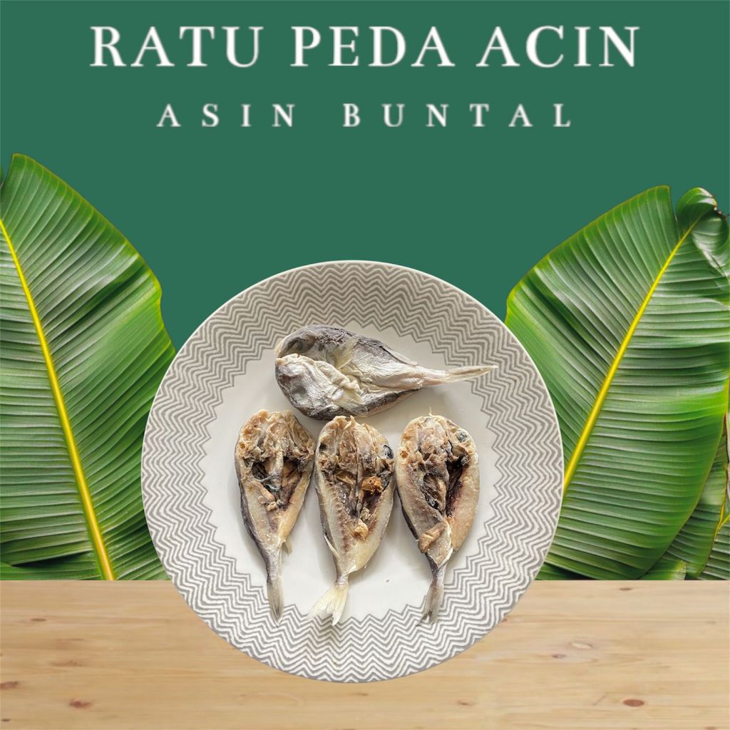 

Ikan Asin Buntal / Inul Murah 1 Kg / 500 gr / 250 gr Asli Nelayan Renyah & Gurih
