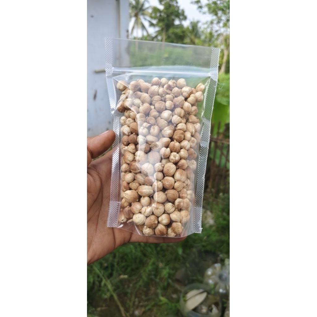 

Kapulaga 100% Asli 100gr