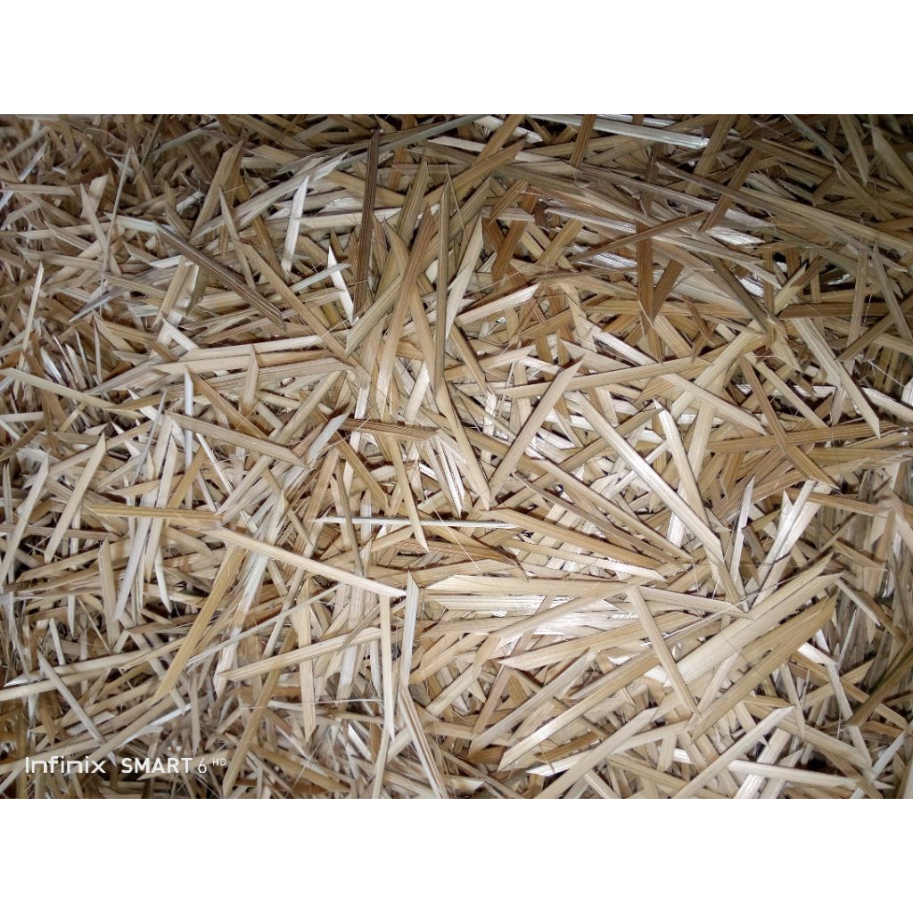 ( 500gr ) BITING/PENYEMAT LONTONG/LEMPER DARI BAMBU