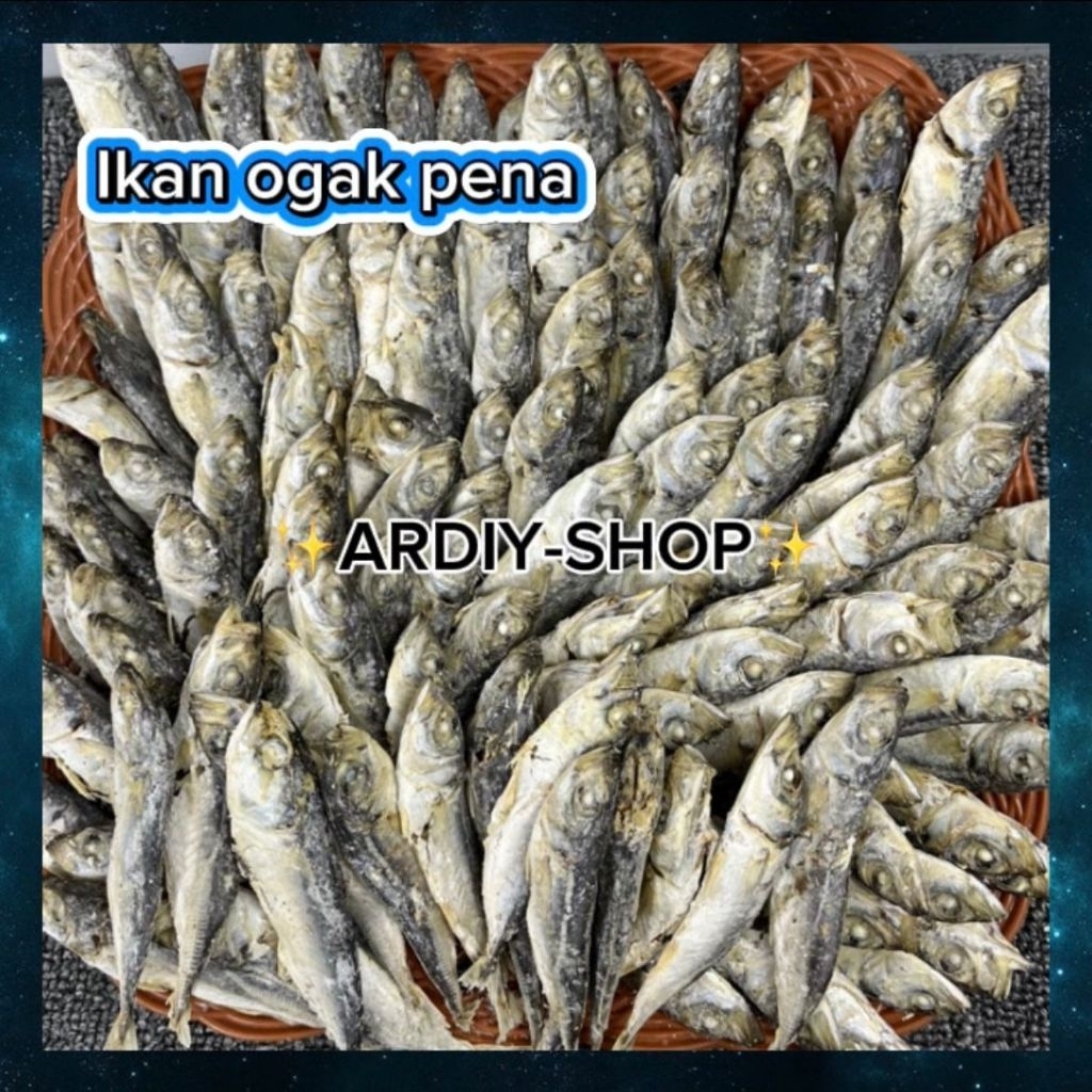 

IKAN ASIN OGAK PENA REBUS KERING ENAK