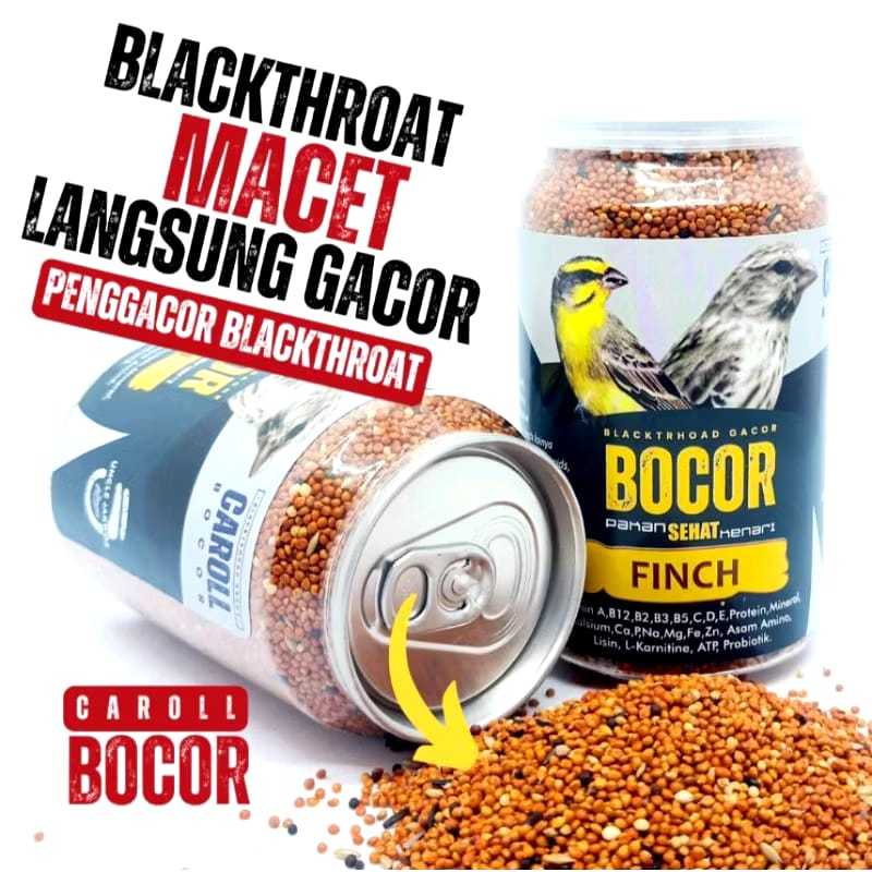 PAKAN BOCOR BLACKTHROAT GACOR CAROLL PENGGACOR BURUNG SANGER BLACKTHROAT FINCH MOZAMBIK GACOR NGEROL