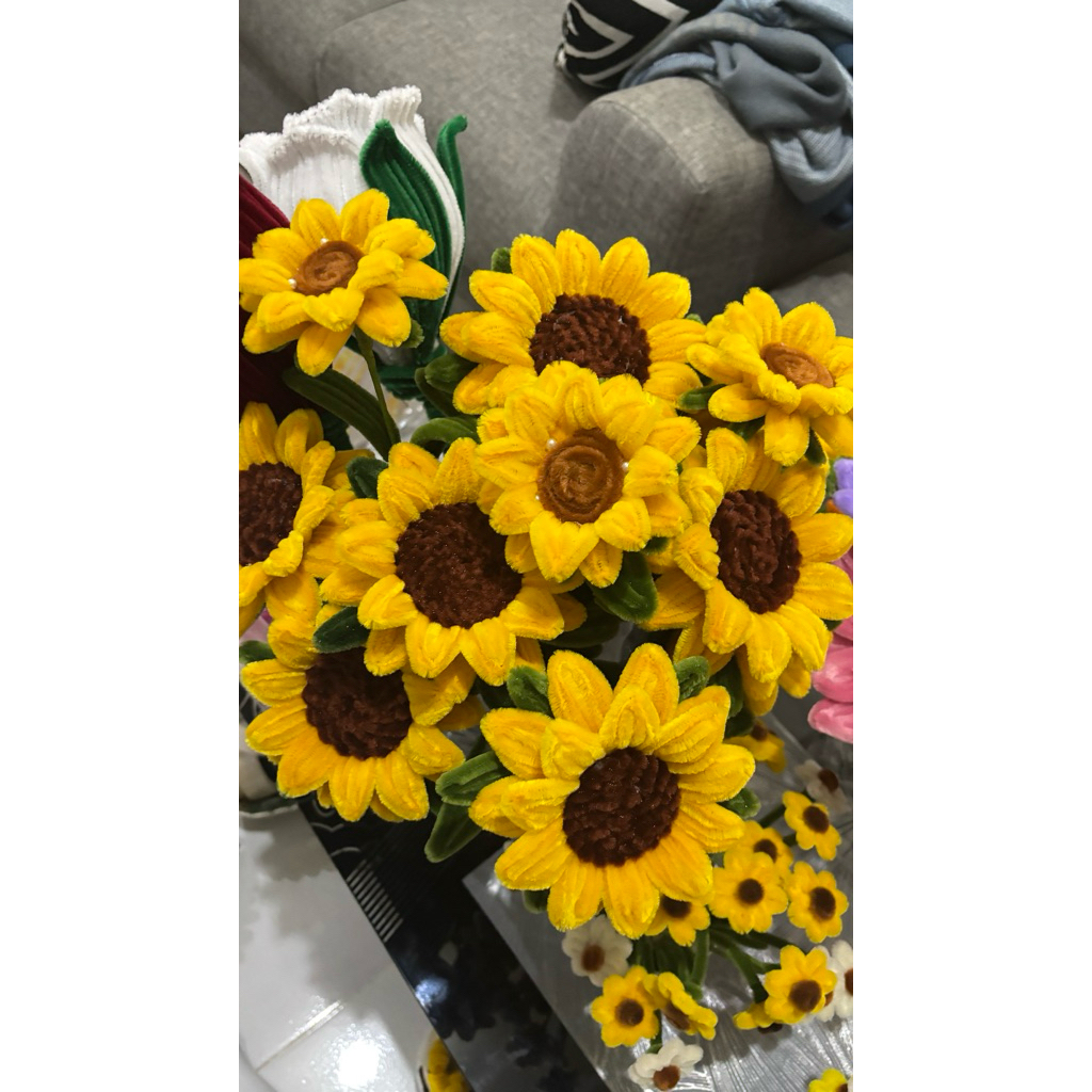 Bunga matahari jumbo
