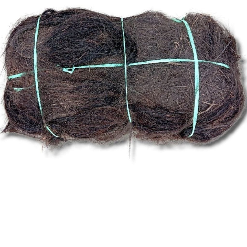 Injuk Aren original super 500g