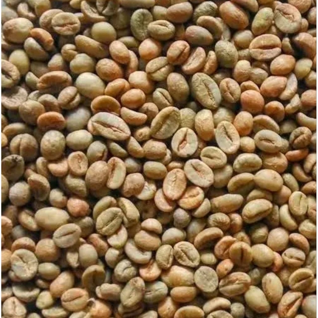 

biji kopi robusta asli Indonesia green bean berat 1 kg