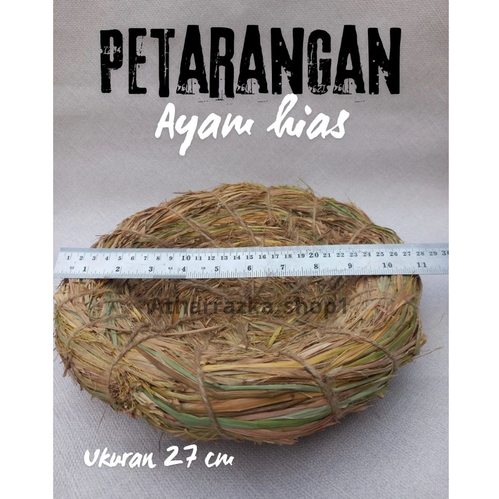 PETARANGAN AYAM HIAS