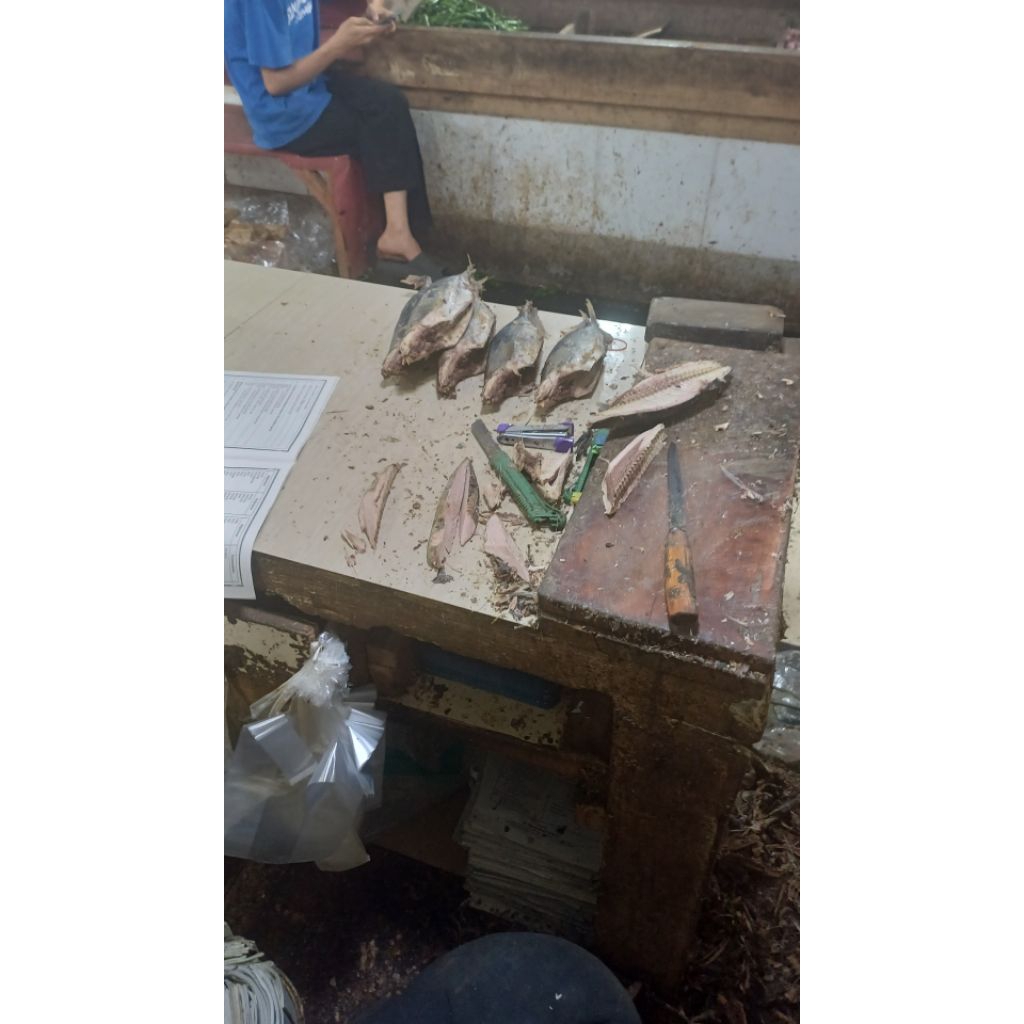 

Cue Tongkol Fresh Bersih Higienis Bebas Duri 1kg