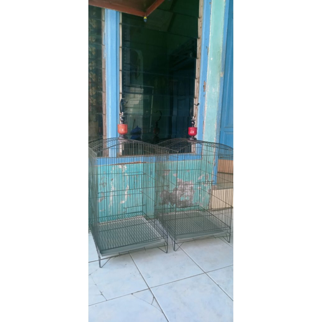 Sangkar Kotak no2 ruji besii