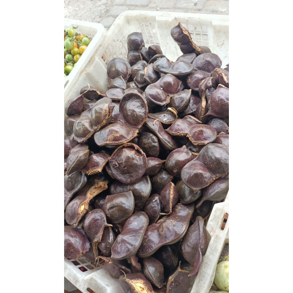 

jengkol muda /jengkol lalapan kulitan