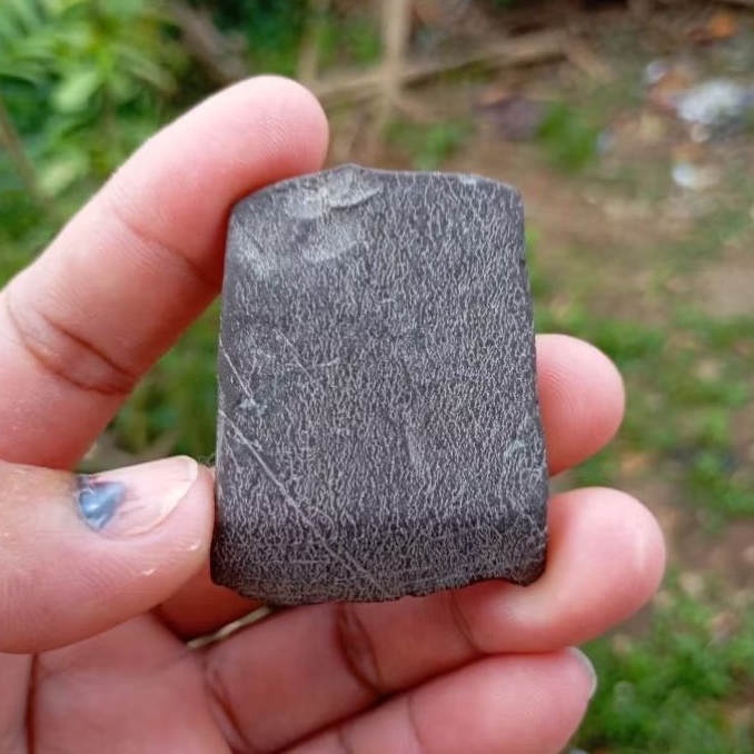 Natural batu petir/batu gigi petir