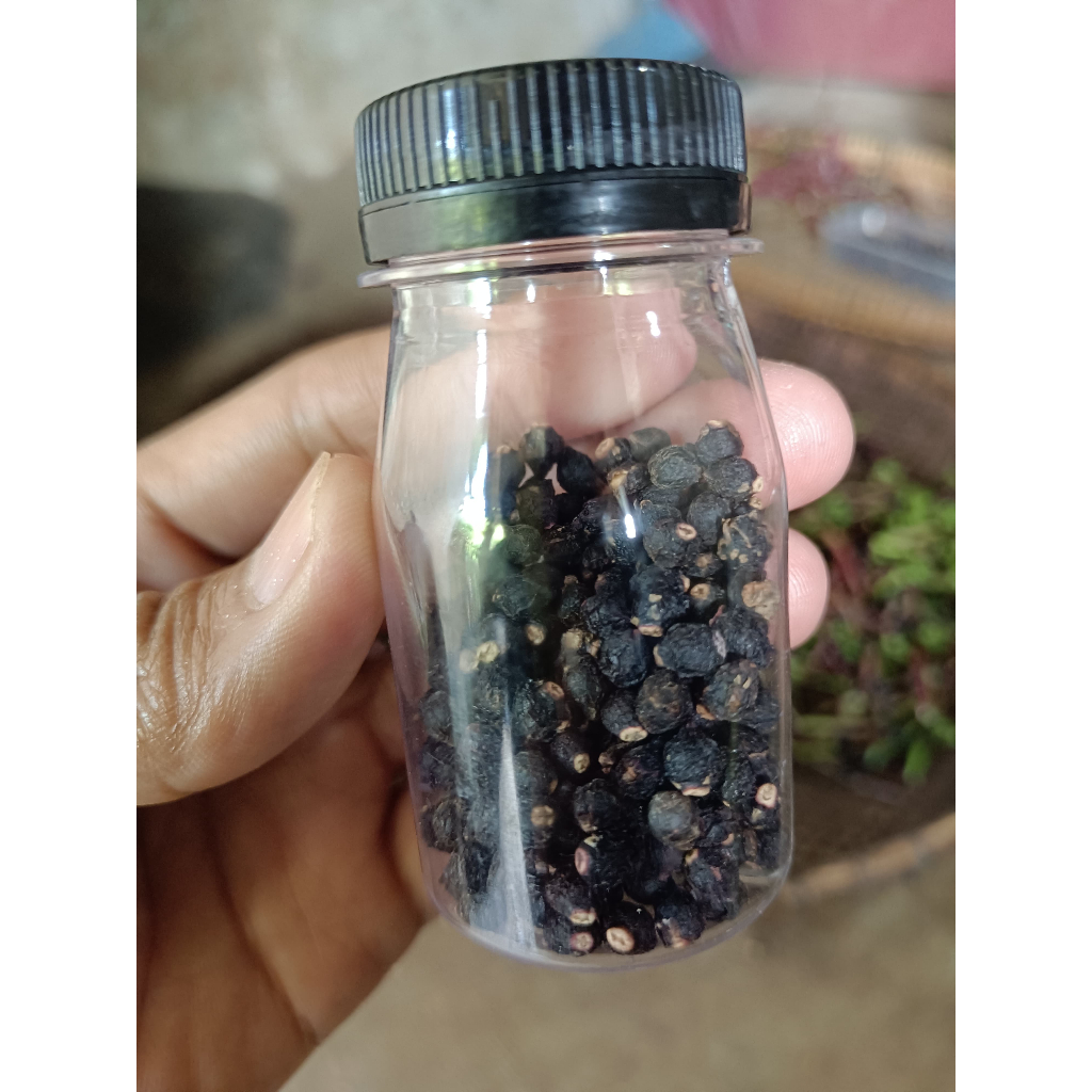 

Buah Angkung Kering Obat Stroke 200 Biji + Bonus 10 Biji