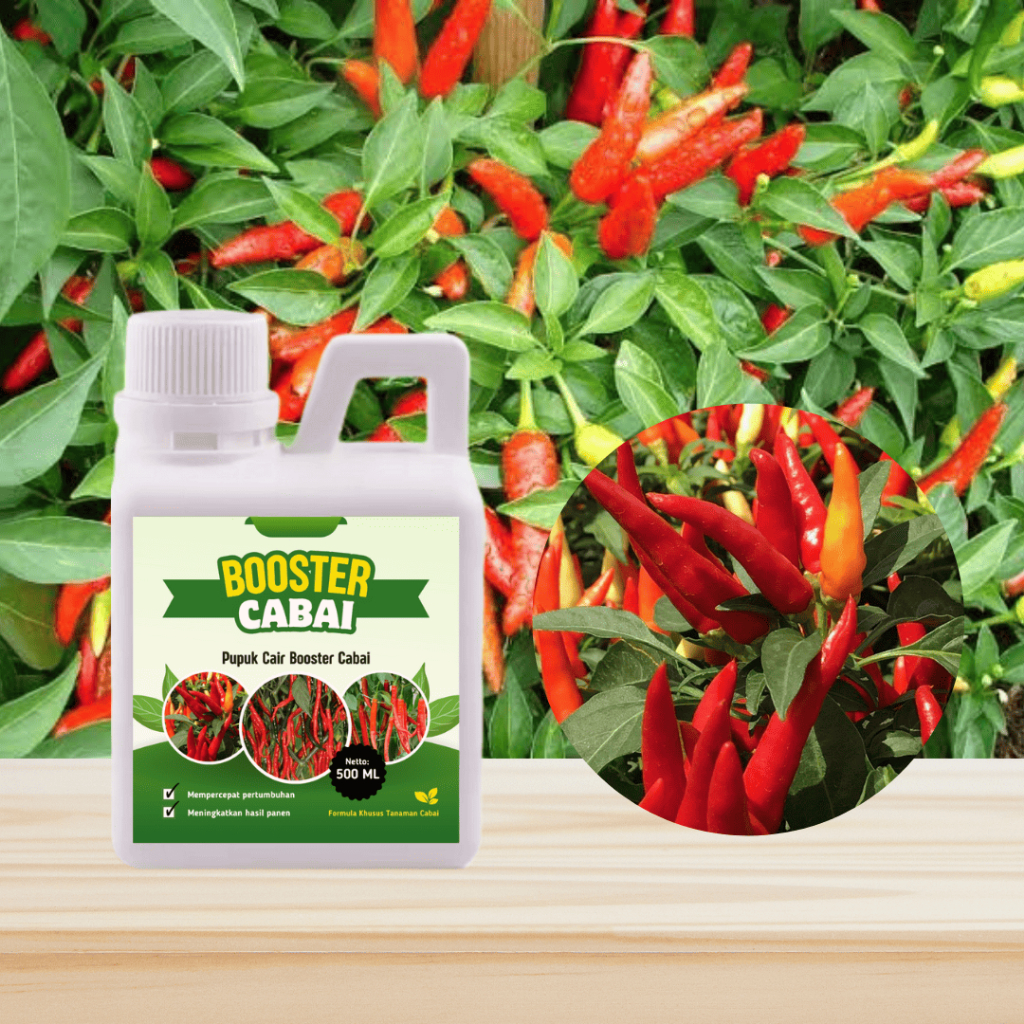 Booster Cabai 500 ML Nutrisi Organik Tanaman Cabai