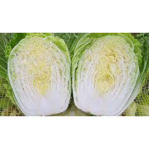 

Sawi Putih Segar Utuh 500gr