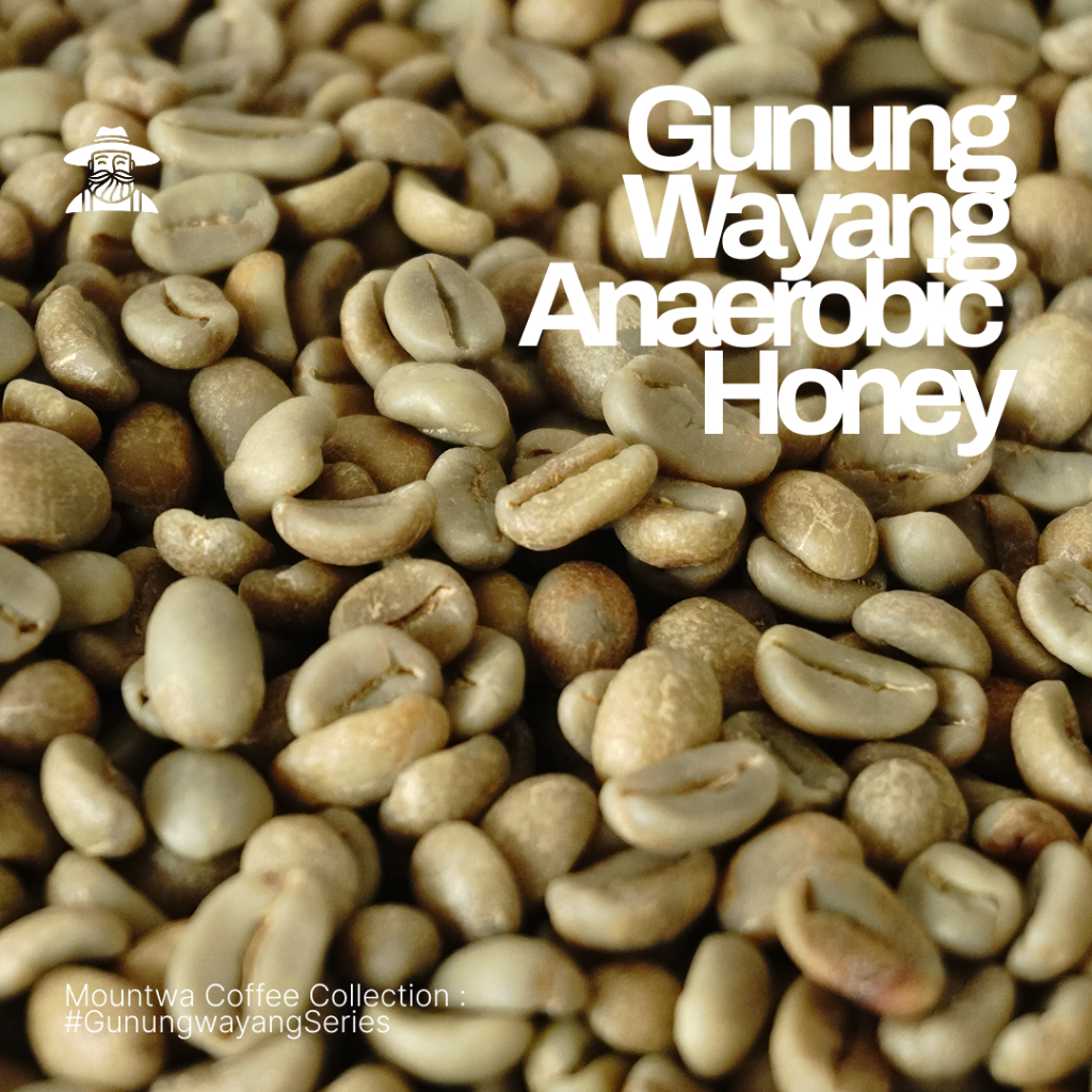 

Green Bean Arabika Honey Anaerobic Gunung Wayang/ Biji Kopi Mentah 1kg