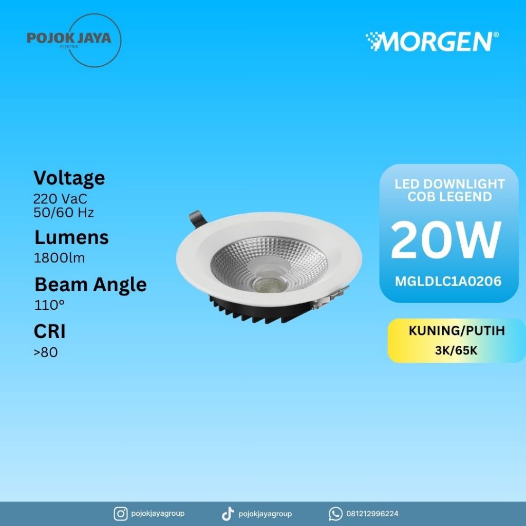 Morgen Downlight COB 20/30W
