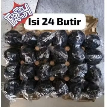 

TELUR ASIN BEBEK MENTAH SEKAM BAKAR ISI 24 BUTIR