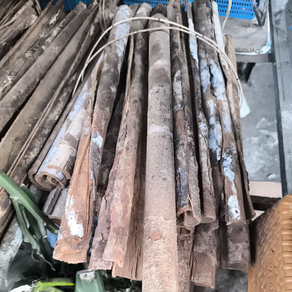 

kayu Raru asli