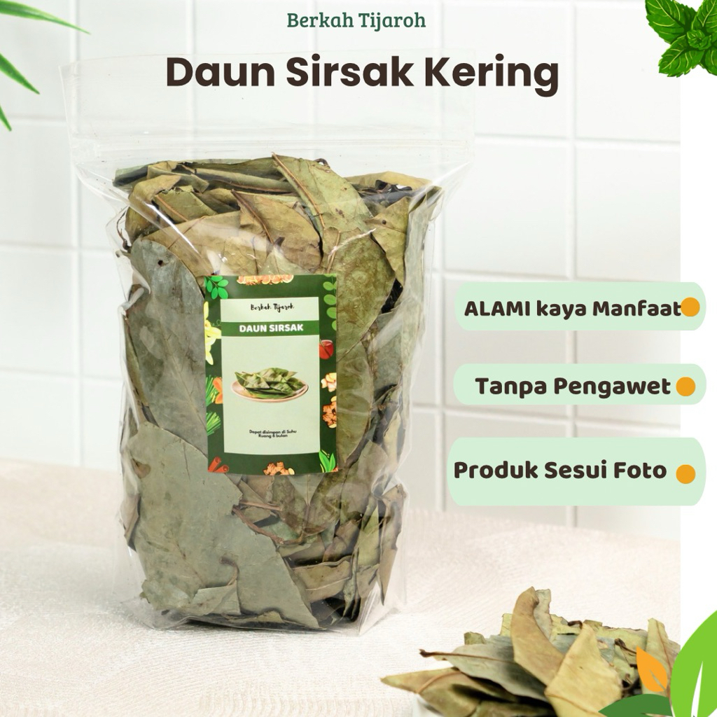 

Daun Sirsak Kering Daun Sirsat Organik herbal Alami