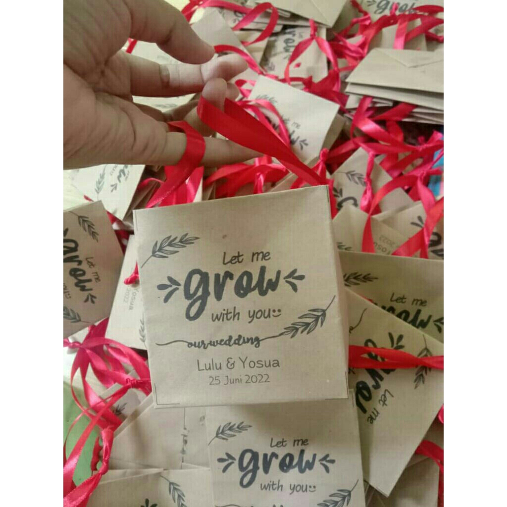 

Paperbag Pot 8x8 skulen/kaktus/souvenir