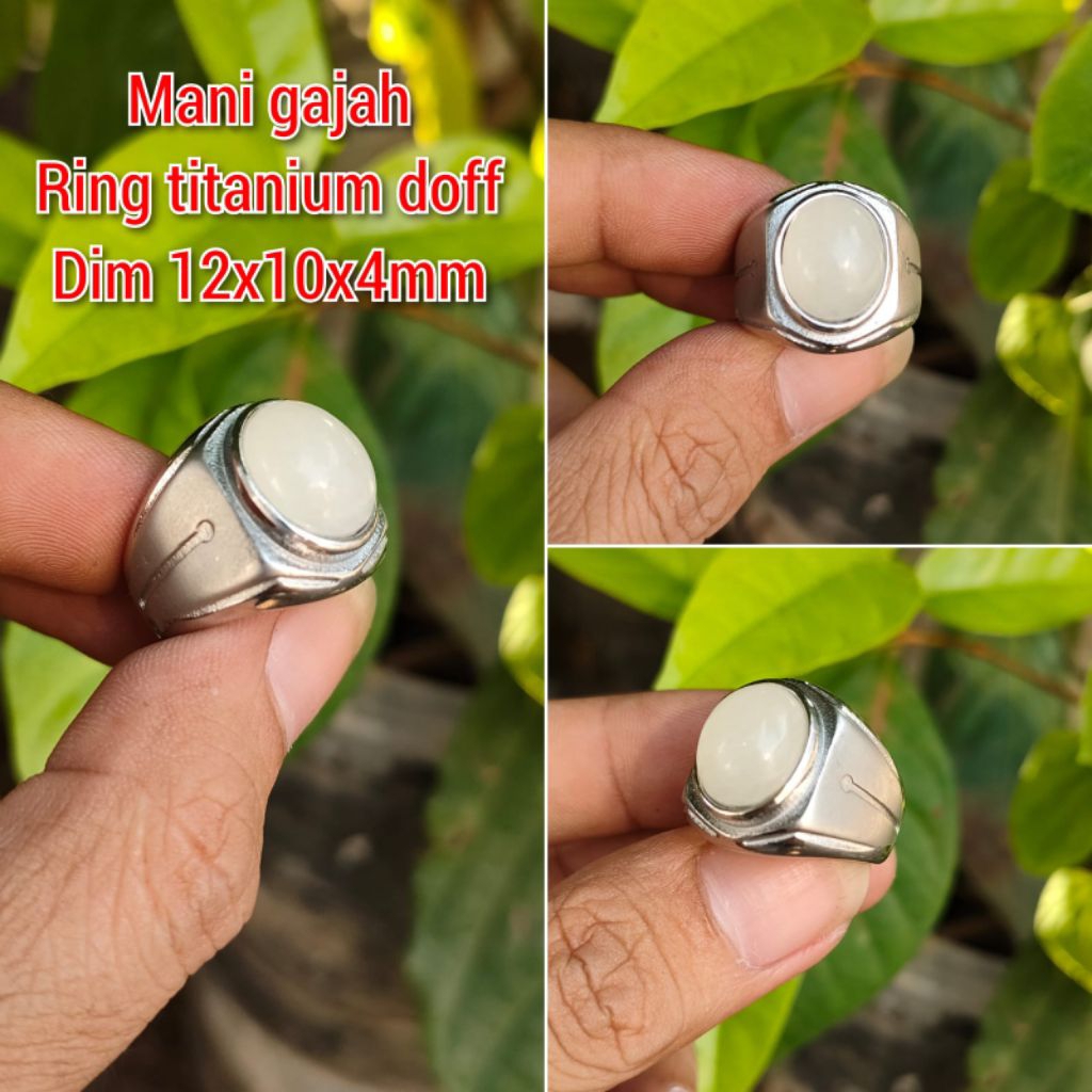 CINCIN PRIA BATU MANI GAJAH KECIL RING TITANIUM