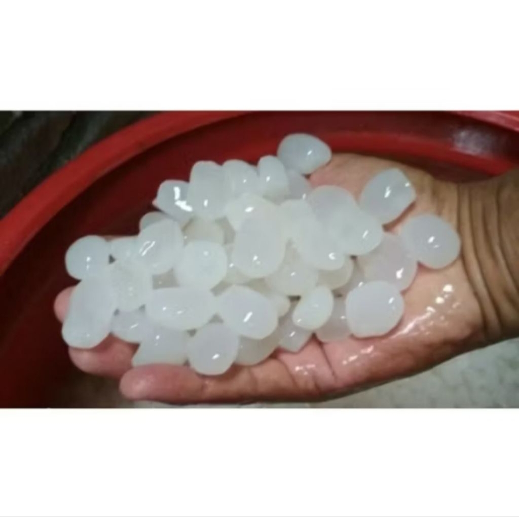 

TERMURAH Baru 1Kg Kolang Kaling muda tanpa pengawet