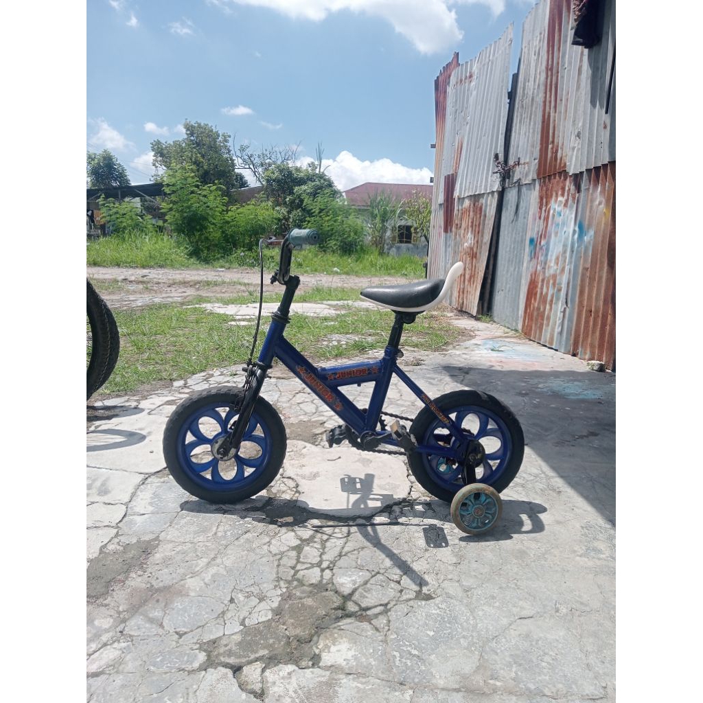 sepeda anak 12 inchi bekas