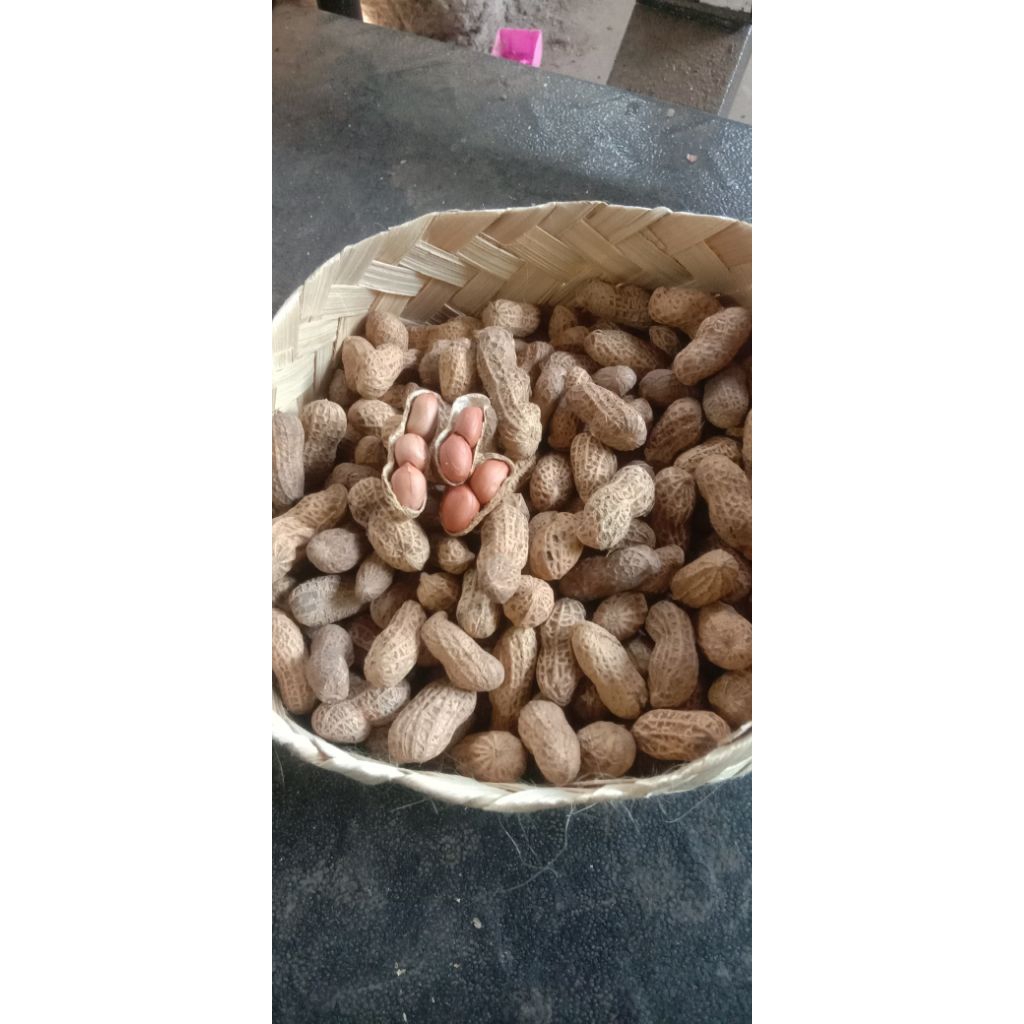 

kacang sangrai 1kg kacang olah klethik gurih nikmat