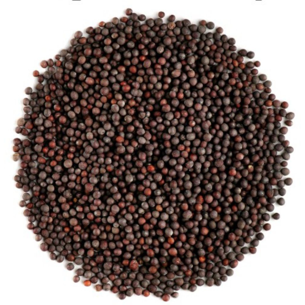

Mustard seed 100g