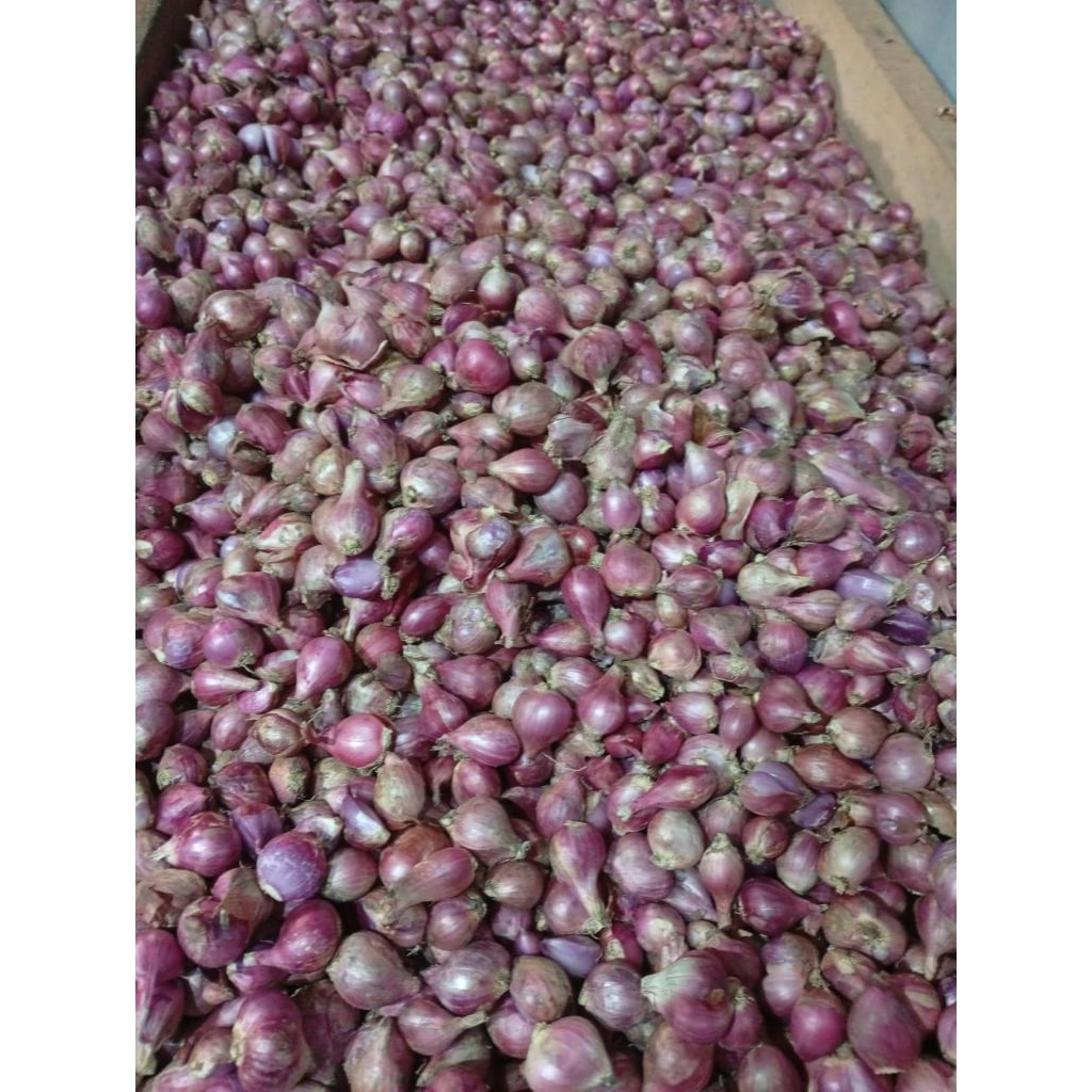 

Bawang Merah Brebes 1kg Bumbu Dapur Segar