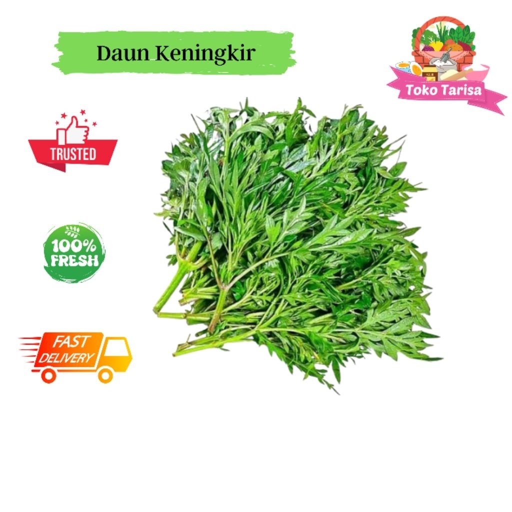 

Daun Keningkir 1 Ikat