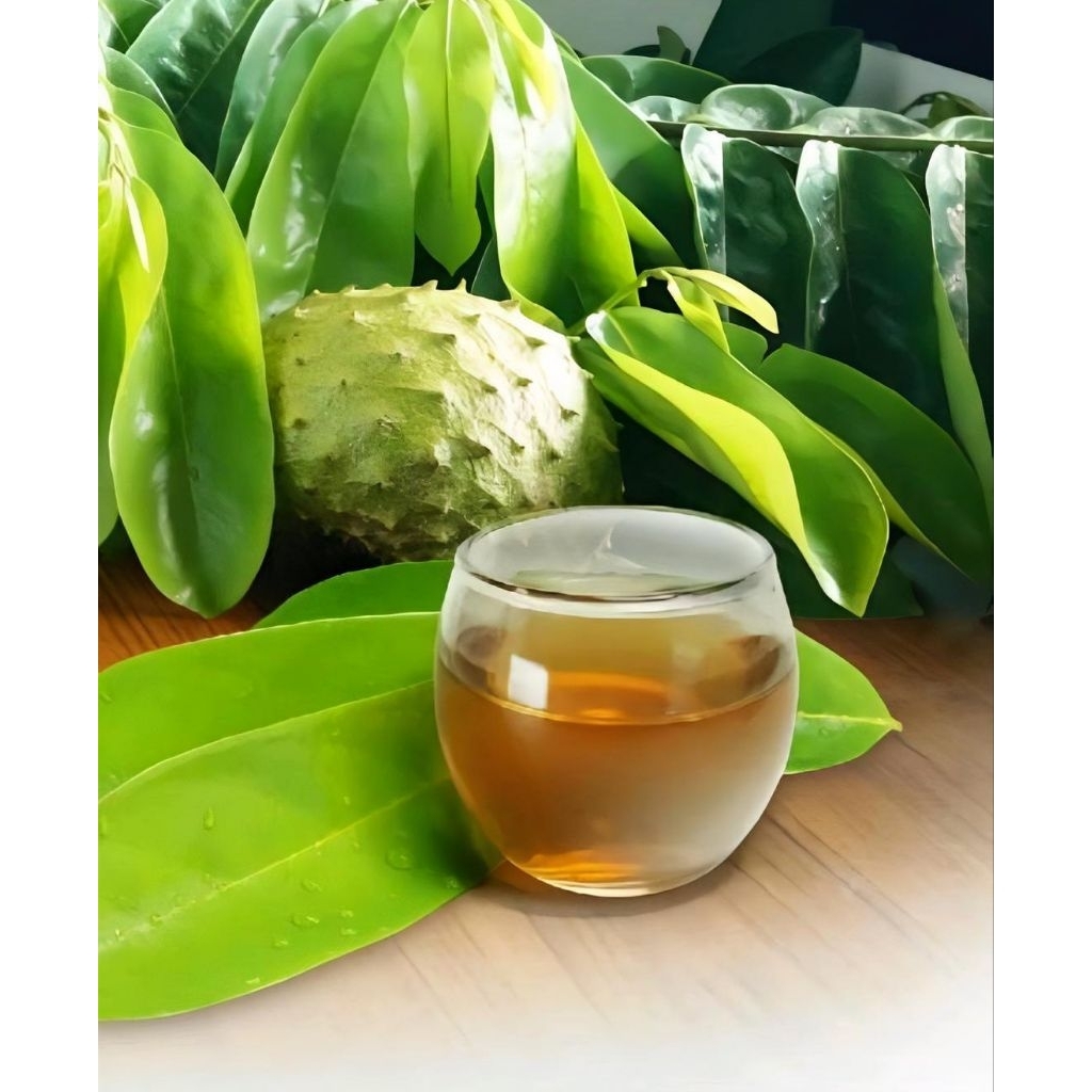 

DAUN SIRSAK SEGAR 1 KG - DAUN HERBAL ALAMI PILIHAN