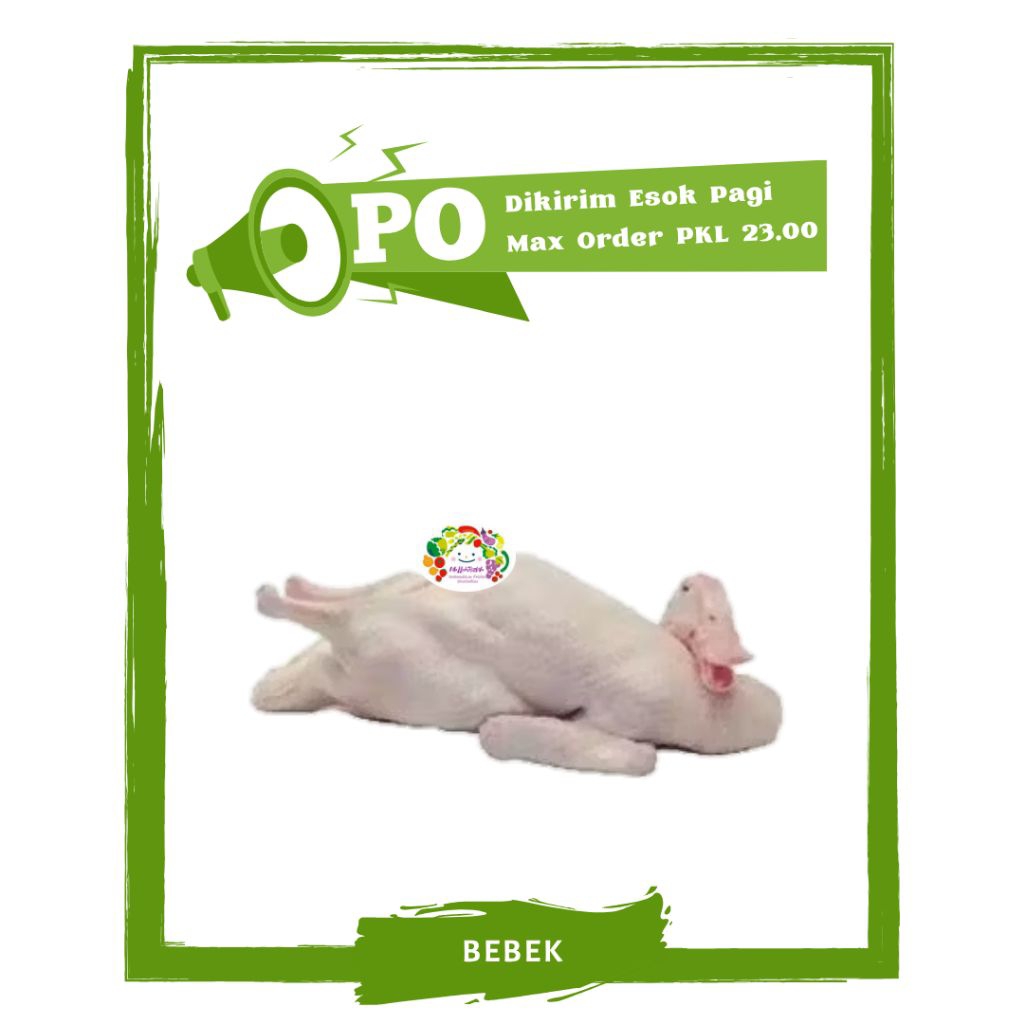 

Bebek Size Besar / Daging Segar PO Mallahrizwa