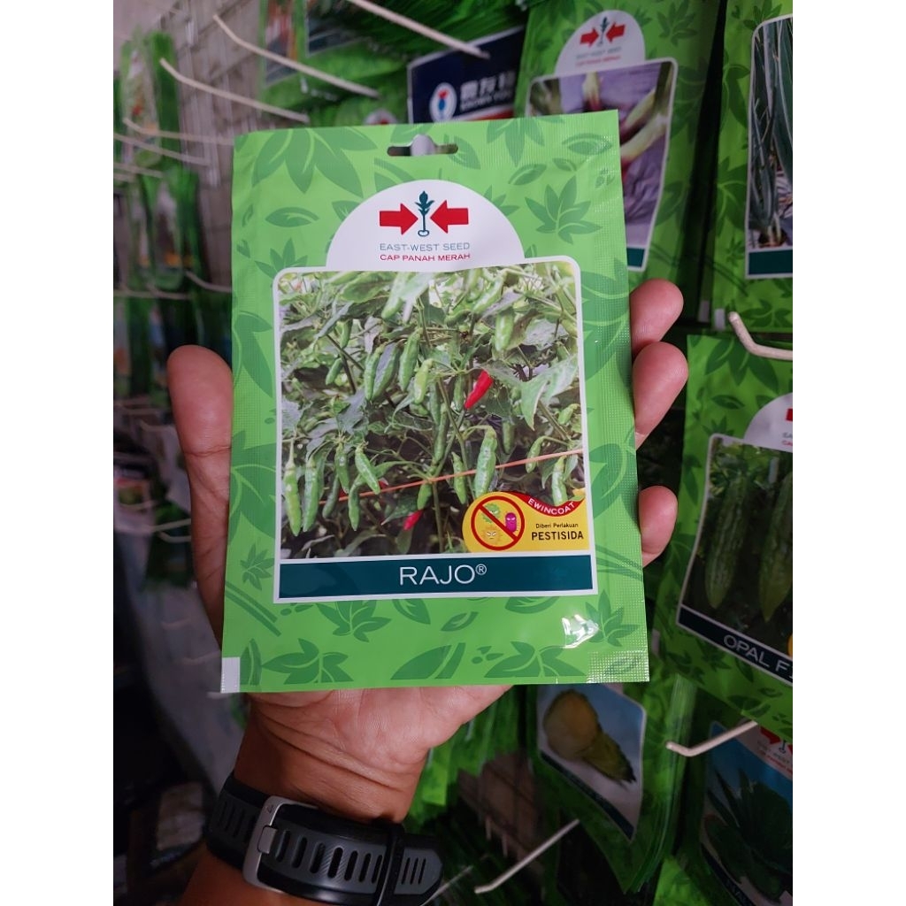 Benih Cabe Rawit Hijau RAJO F1 isi 350 Biji