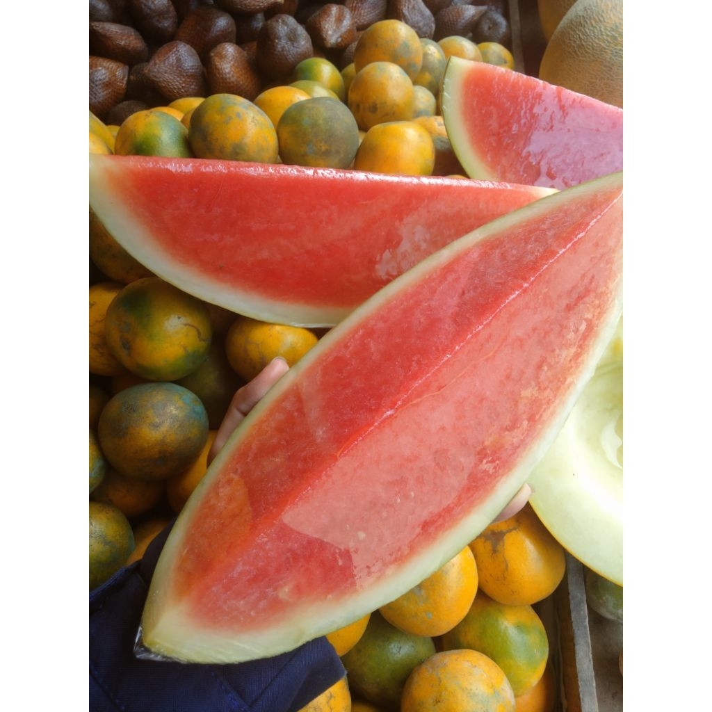 

SEMANGKA MERAH MANIS SEEDLESS/TANPA BIJI