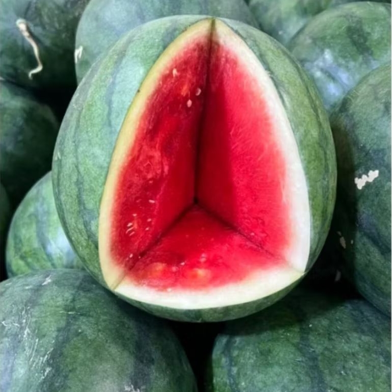 

SEMANGKA POTONG SEGAR 500GR [MINIMAL ORDER 1 KG]