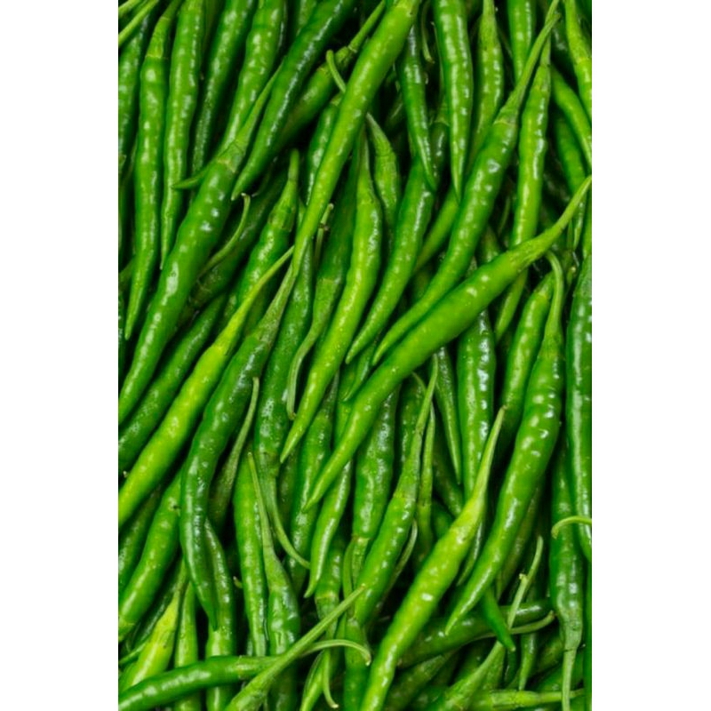 

cabe keriting hijau 1kg fresh harga grosir