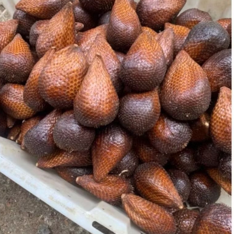 

SALAK PONDOH BUAH 250GR [MINIMAL ORDER 750GR]