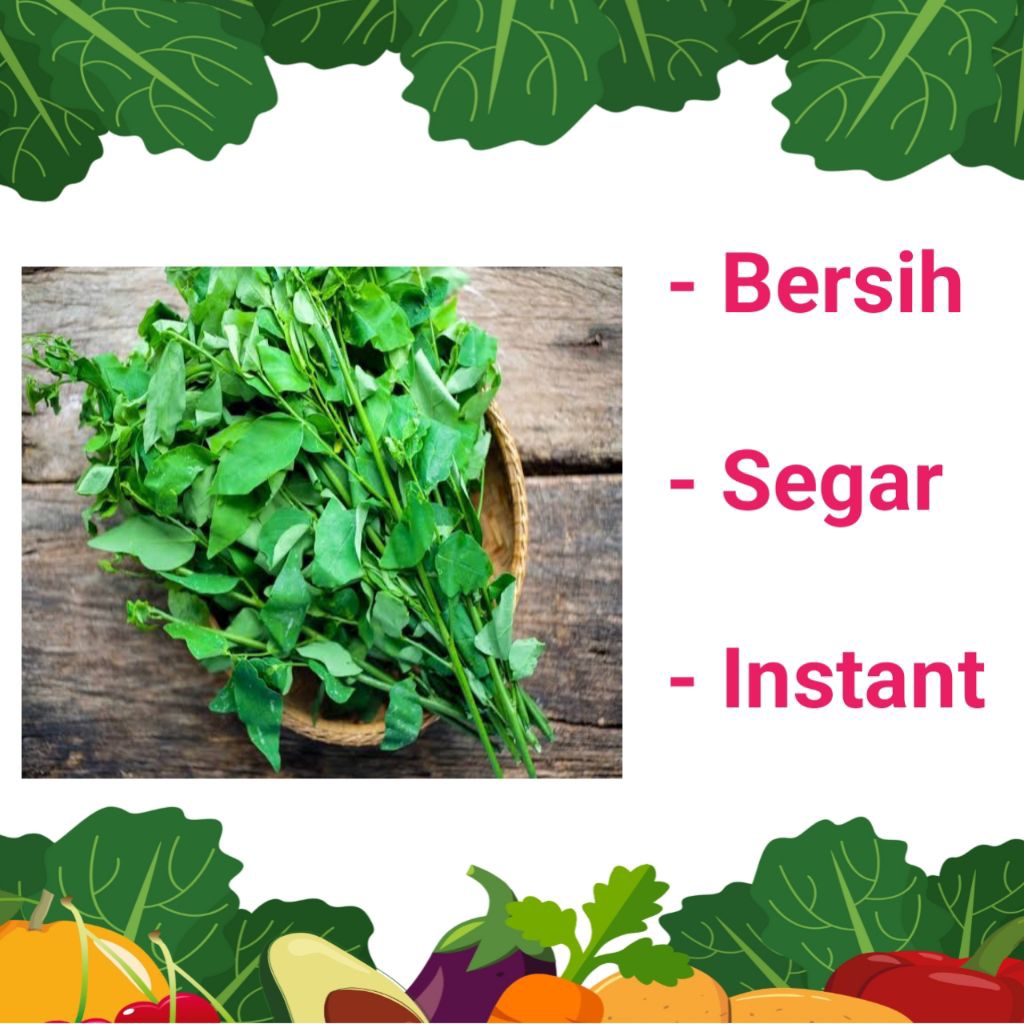 

SAYUR KATU/KATUK - PALEMBANG