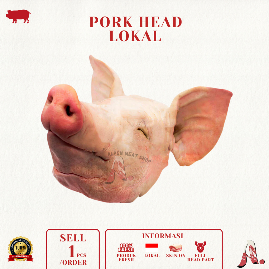 

Kepala Babi Utuh / Pork Head / Daging Babi - Lokal