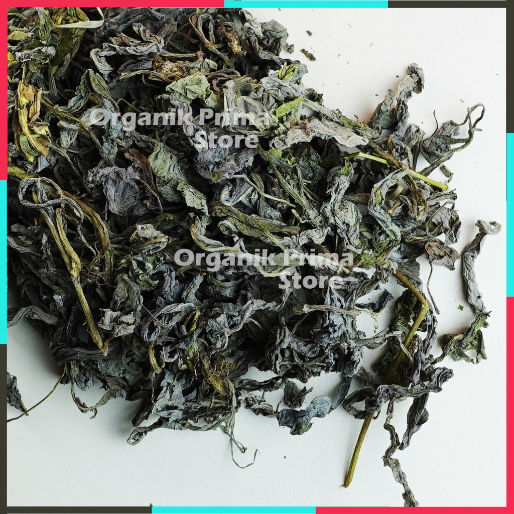 

Daun Tempuyung Kering 250gr Asli Bersih dan Organik