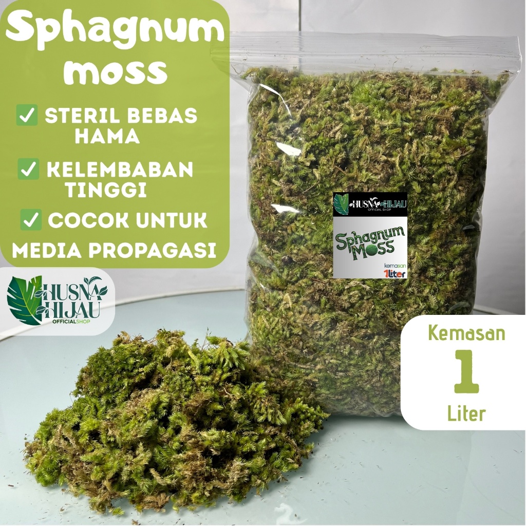 Husna hijau, SPHAGNUM MOSS kemasan hemat 1liter, lumut hidup hutan pinus, Lumut Hidup Media Tanam Ta