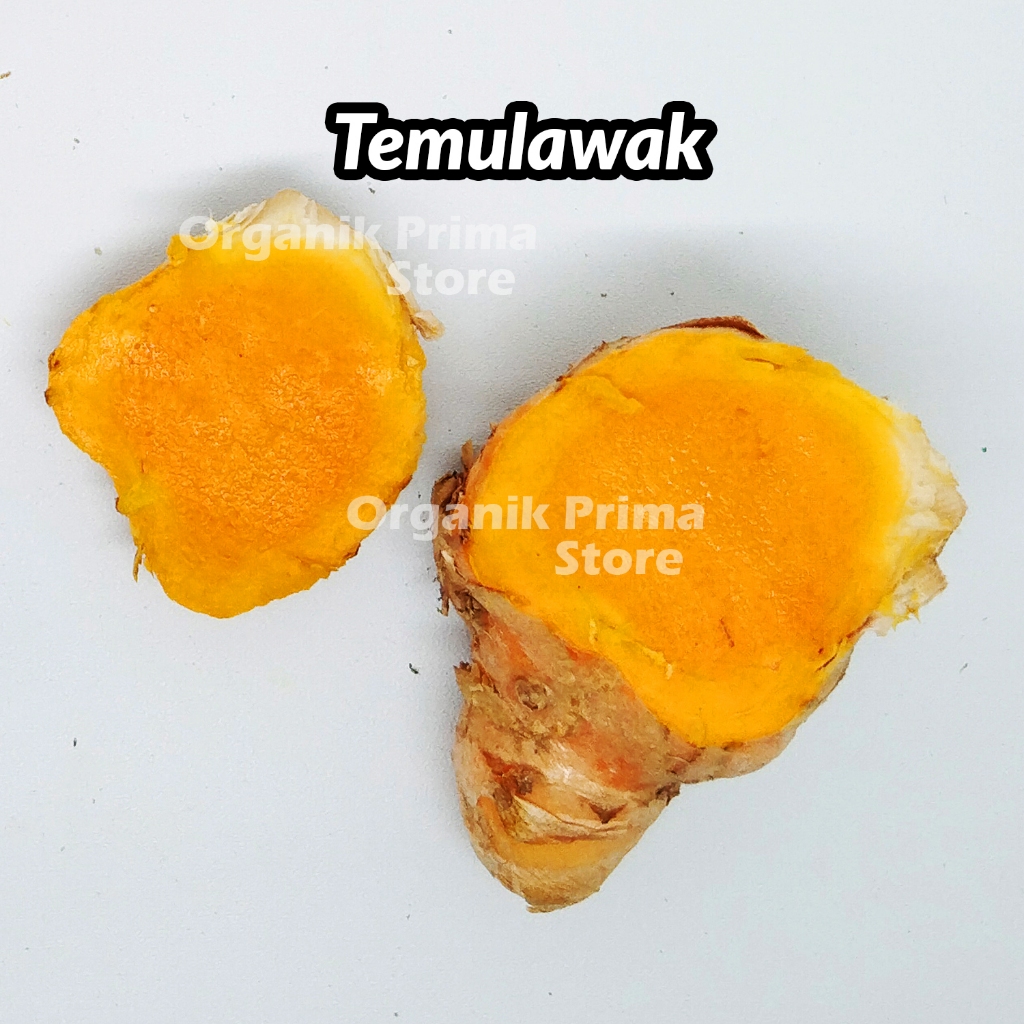 

Temulawak Segar 500gr Asli dan Organik