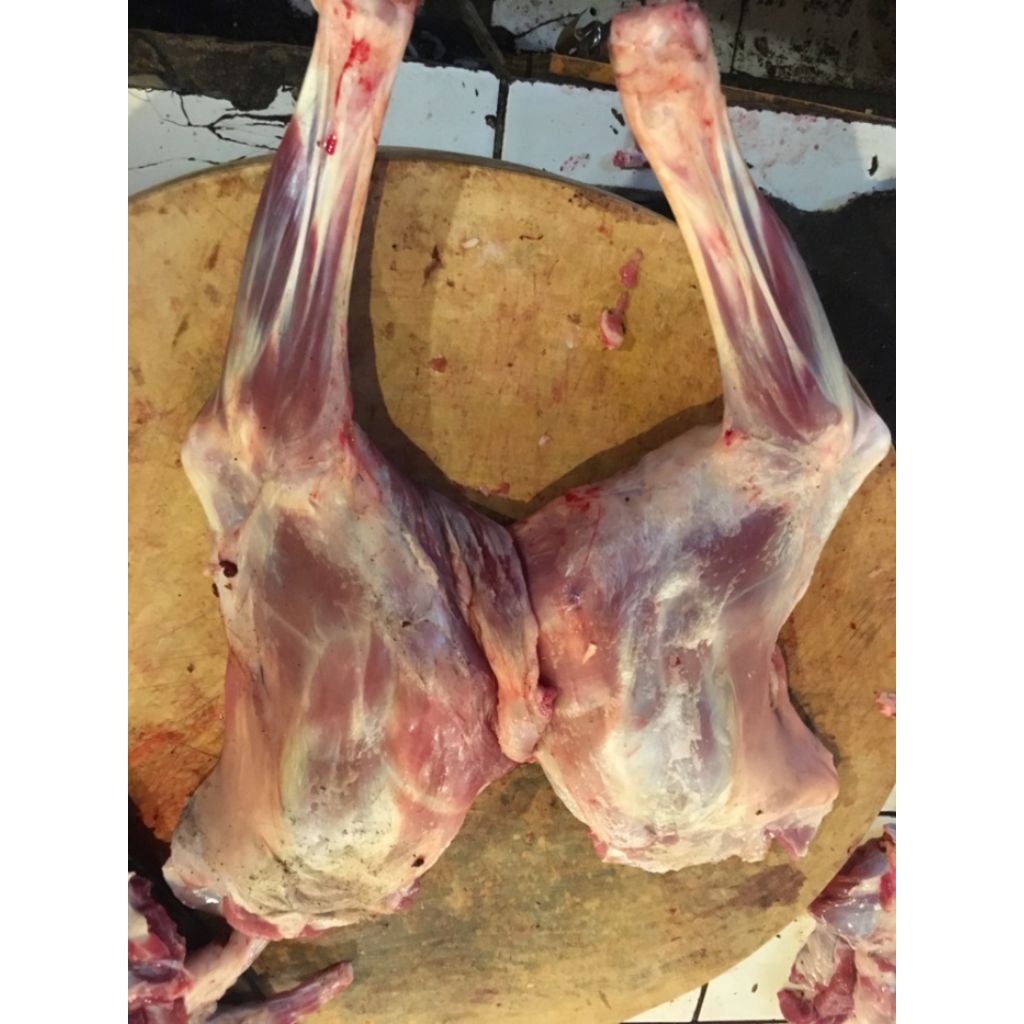 

daging kambing fresh