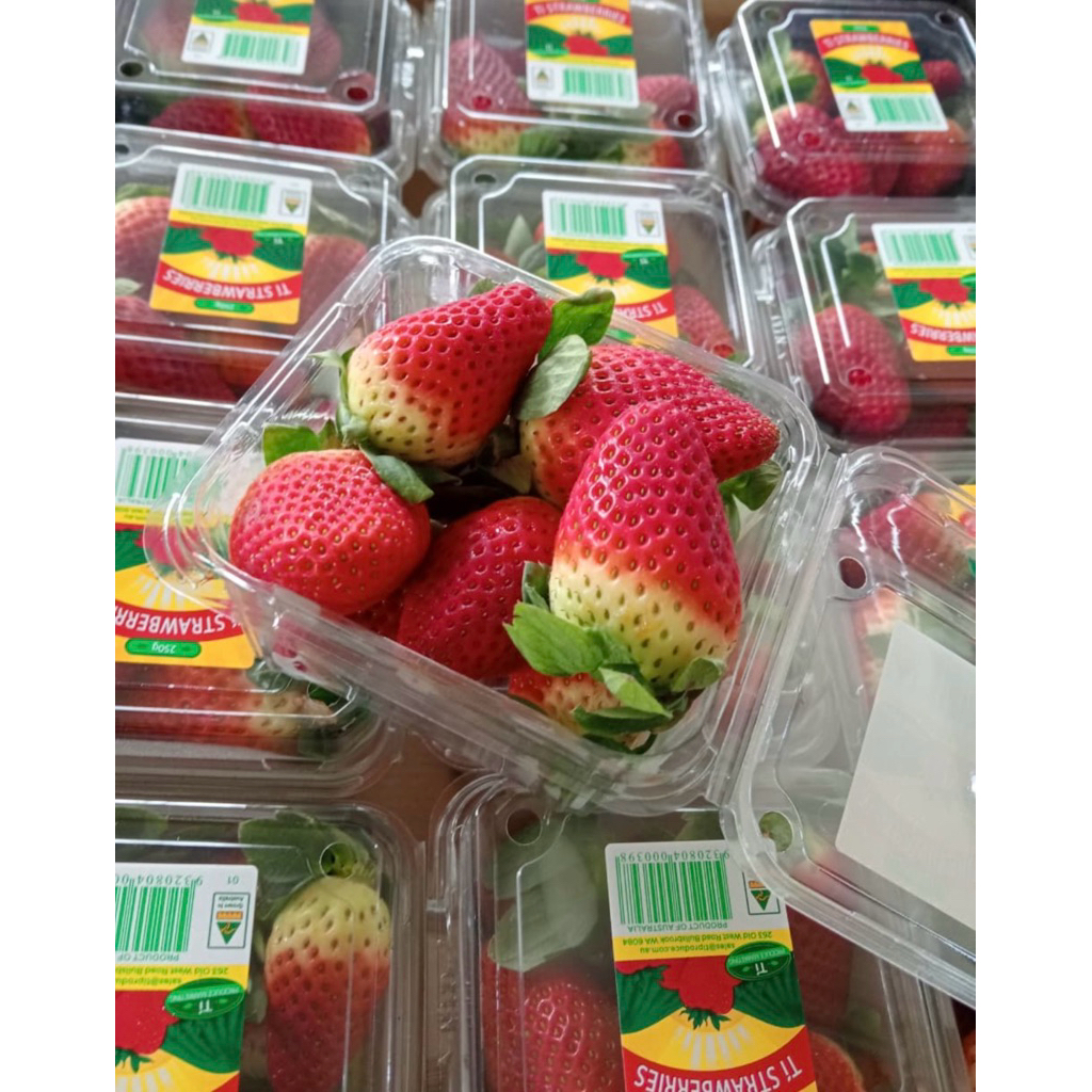 

Strawberry Red Austalian | Strawbery Red Import | Pack