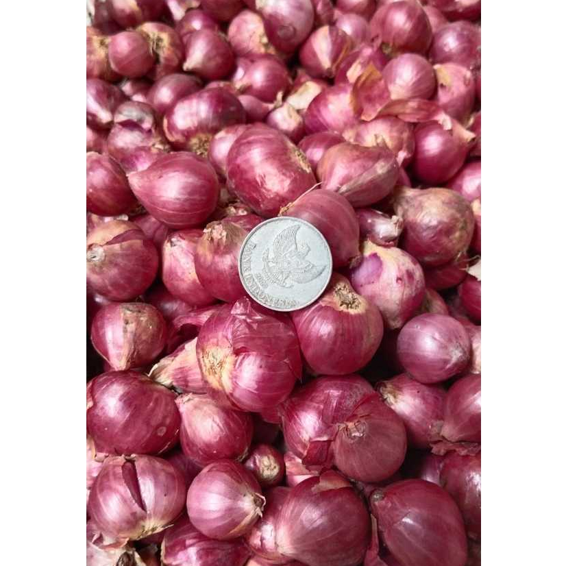 

BAWANG MERAH SUPER SEGAR FRESH GARING 500 GR