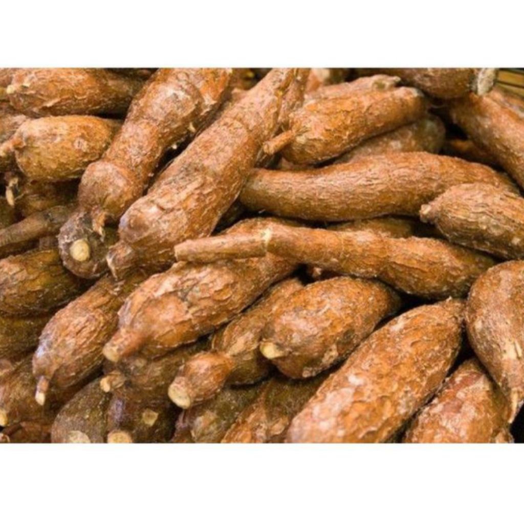 

Singkong mentega 1kg fresh asli