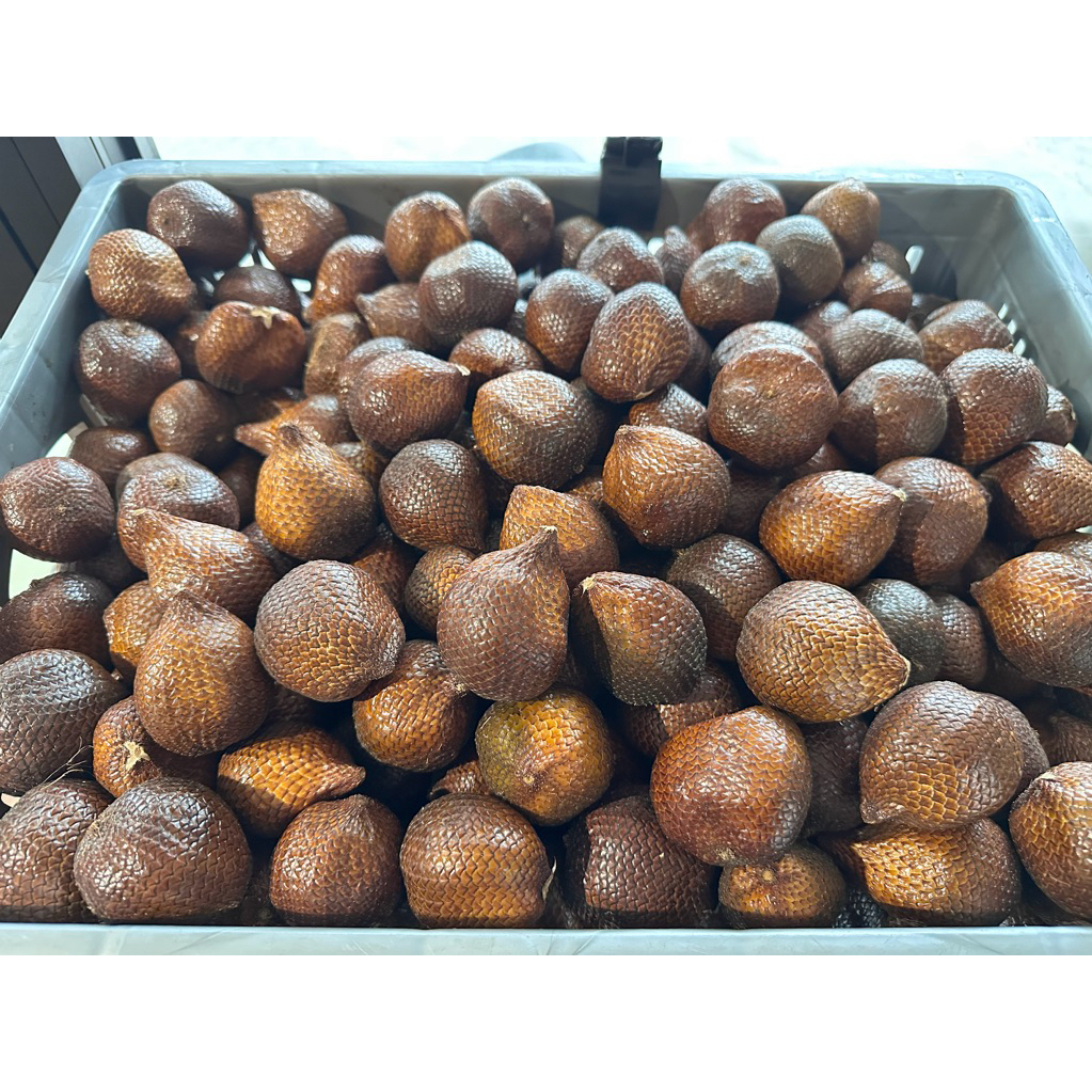 

Parpokat | Salak Gula pasir